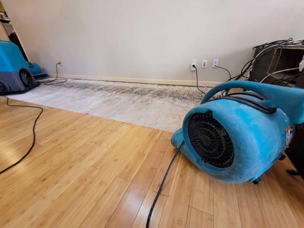 Professional Ceiling Water Damage Repair technician working in Furlong, PA